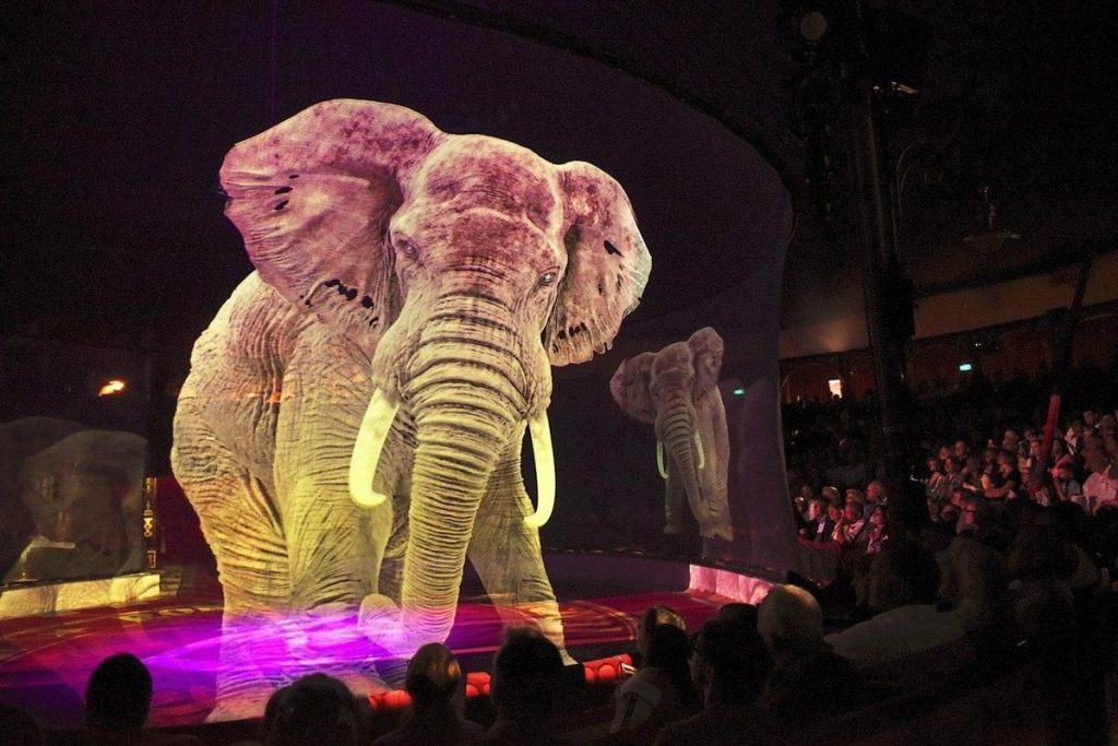 0520f07025e02954219b6e7e2e7684df